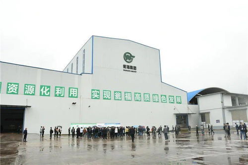 石膏新紀(jì)元 走進優(yōu)質(zhì)石膏工廠，見證機械化施工的力量